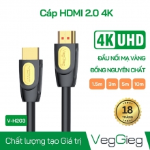 Dây HDMI VegGieg 2.0 3M 