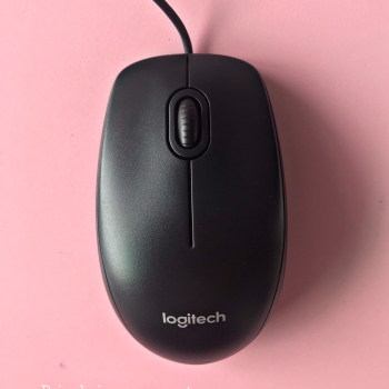 Chuột máy tính Logitech B100